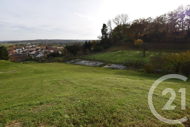 maison à vendre - 8 pièces - 350.0 m2 - BREISTROFF LA GRANDE - 57 - LORRAINE - Century 21 Les Trois Frontières