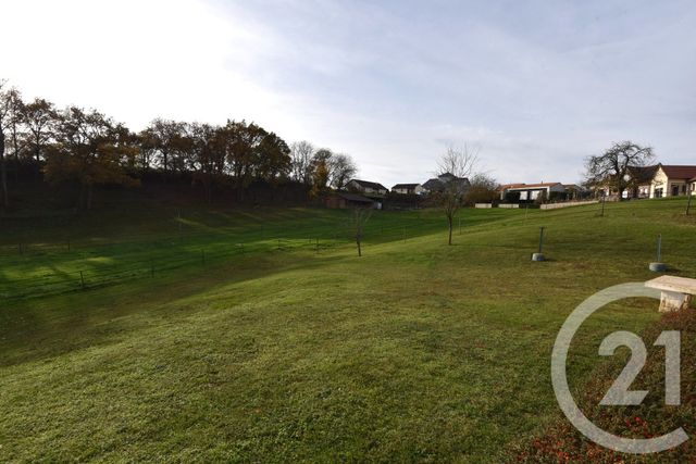 maison à vendre - 8 pièces - 350.0 m2 - BREISTROFF LA GRANDE - 57 - LORRAINE - Century 21 Les Trois Frontières